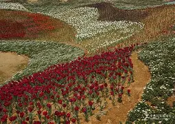 九游官网-关于9枛j椞?柡Sz5?颎xQ麰